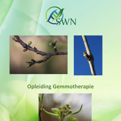 intensieve opleiding gemmotherapie intensieve opleiding gemmotherapie