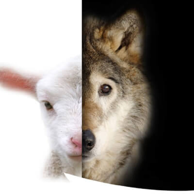 Wolf, Jan Jan Wolf