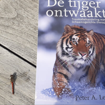 de Boer, Catharina Catharina de Boer