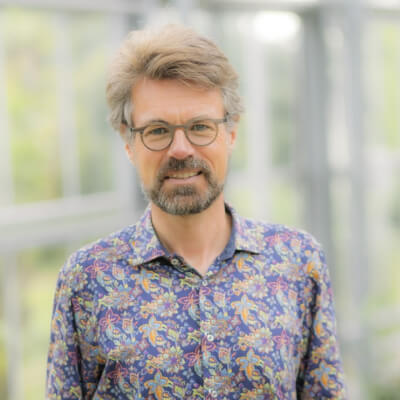 Dennis Roozemond
